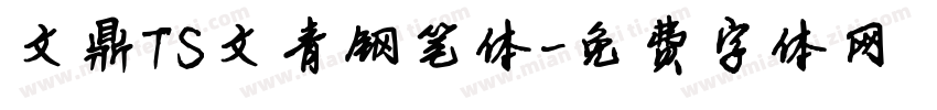 文鼎TS文青钢笔体字体转换