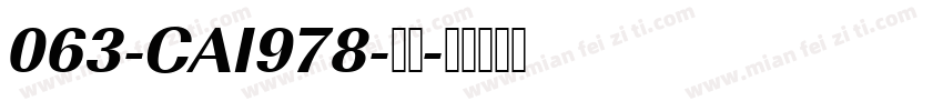 063-CAI978-普通字体转换