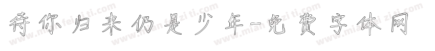待你归来仍是少年字体转换