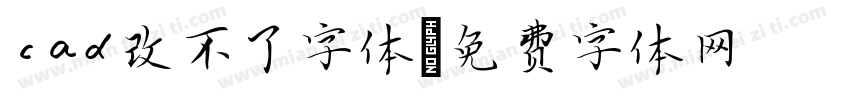 cad改不了字体字体转换