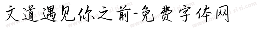 文道遇见你之前字体转换