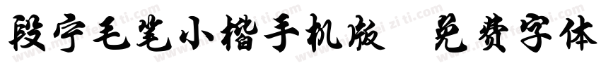 段宁毛笔小楷手机版字体转换