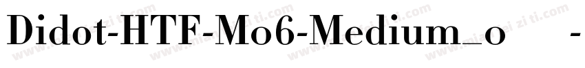 Didot-HTF-M06-Medium_0手机版字体转换