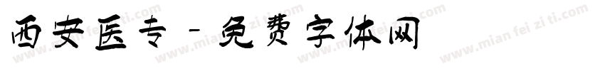 西安医专字体转换