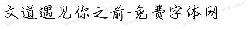 文道遇见你之前字体转换