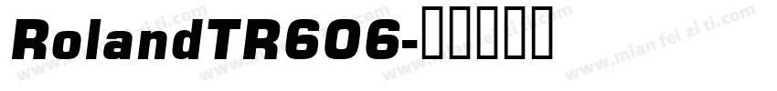 RolandTR606字体转换