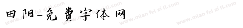 田阳字体转换