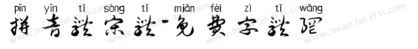 拼音体宋体字体转换
