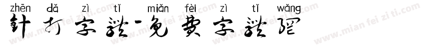 针打字体字体转换