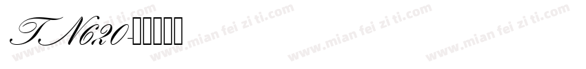 TN620字体转换