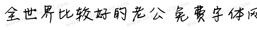 全世界比较好的老公字体转换