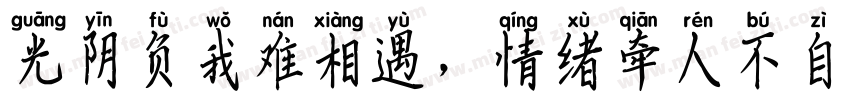 光阴负我难相遇，情绪牵人不自由。字体转换