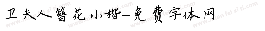 卫夫人簪花小楷字体转换