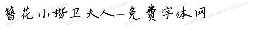 簪花小楷卫夫人字体转换