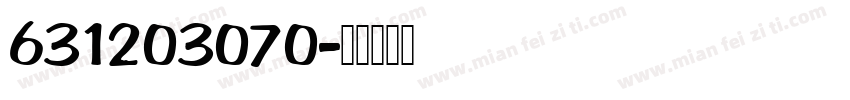 631203070字体转换