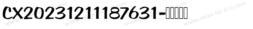CX20231211187631字体转换