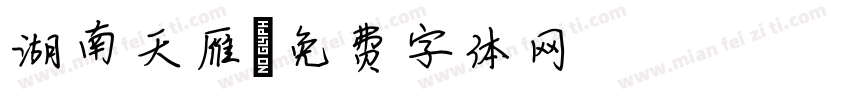 湖南天雁字体转换