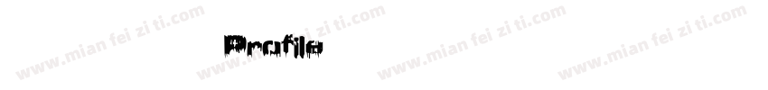 文道精品英文字体Profile字体转换