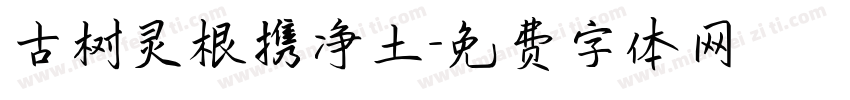 古树灵根携净土字体转换