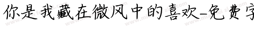 你是我藏在微风中的喜欢字体转换