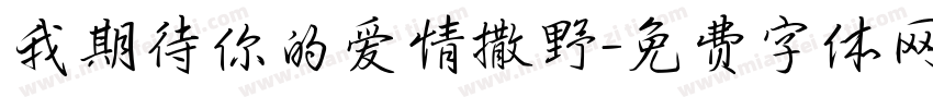 我期待你的爱情撒野字体转换