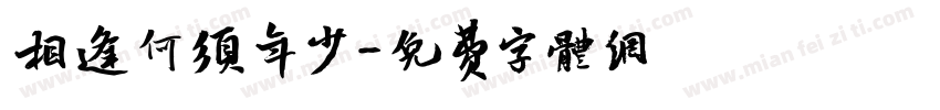 相逢何须年少字体转换
