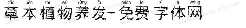 草本植物养发字体转换
