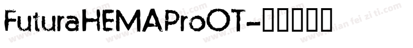 FuturaHEMAProOT字体转换