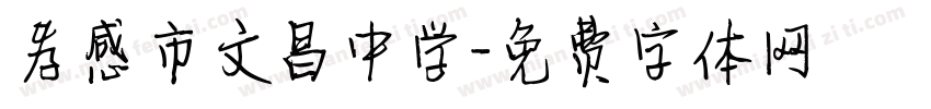 孝感市文昌中学字体转换