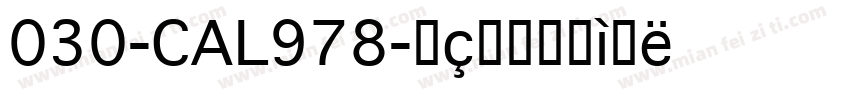030-CAL978字体转换