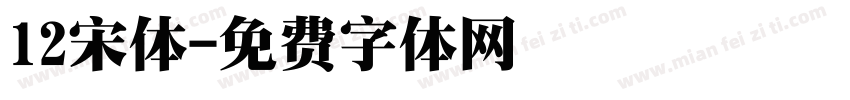 12宋体字体转换