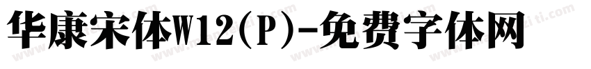 华康宋体W12(P)字体转换