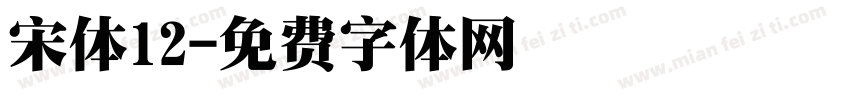 宋体12字体转换
