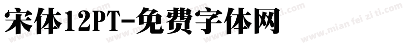 宋体12PT字体转换