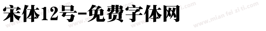 宋体12号字体转换