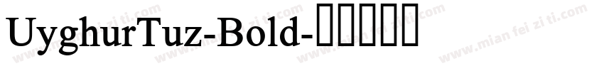 UyghurTuz-Bold字体转换