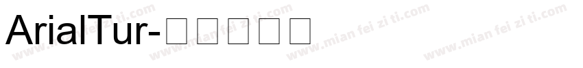 ArialTur字体转换