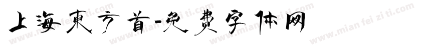 上海东方首字体转换