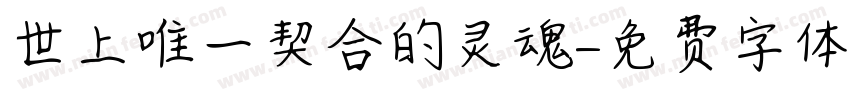 世上唯一契合的灵魂字体转换