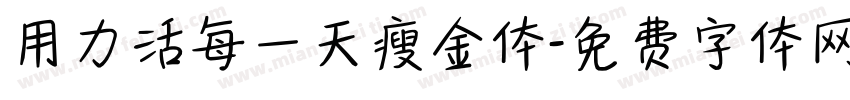 用力活每一天瘦金体字体转换