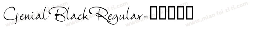 GenialBlackRegular字体转换
