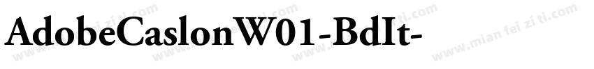 AdobeCaslonW01-BdIt字体转换