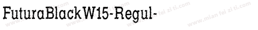 FuturaBlackW15-Regul字体转换