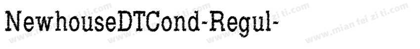 NewhouseDTCond-Regul字体转换