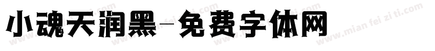 小魂天润黑字体转换