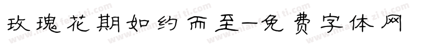 玫瑰花期如约而至字体转换