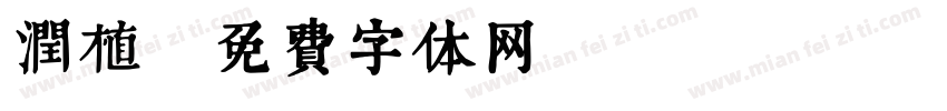 润植字体转换