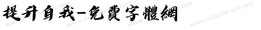 提升自我字体转换
