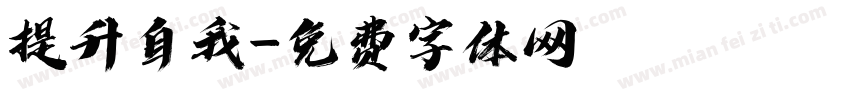 提升自我字体转换