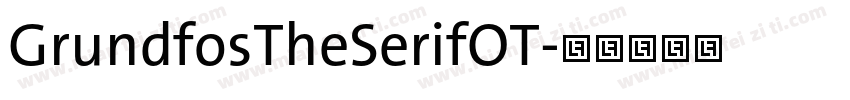 GrundfosTheSerifOT字体转换